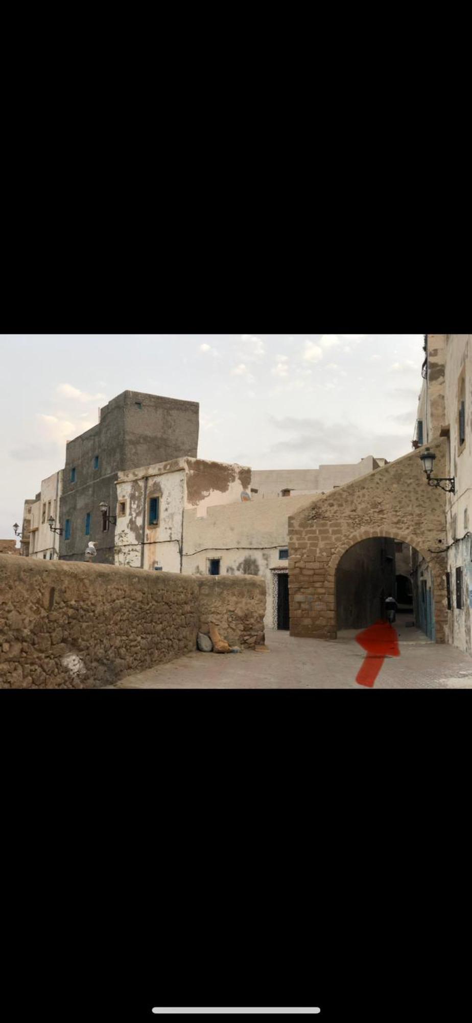 Dar Dada La Totalite Du Riad A Votre Disposition Et De Facon Exclusive Safi Eksteriør billede